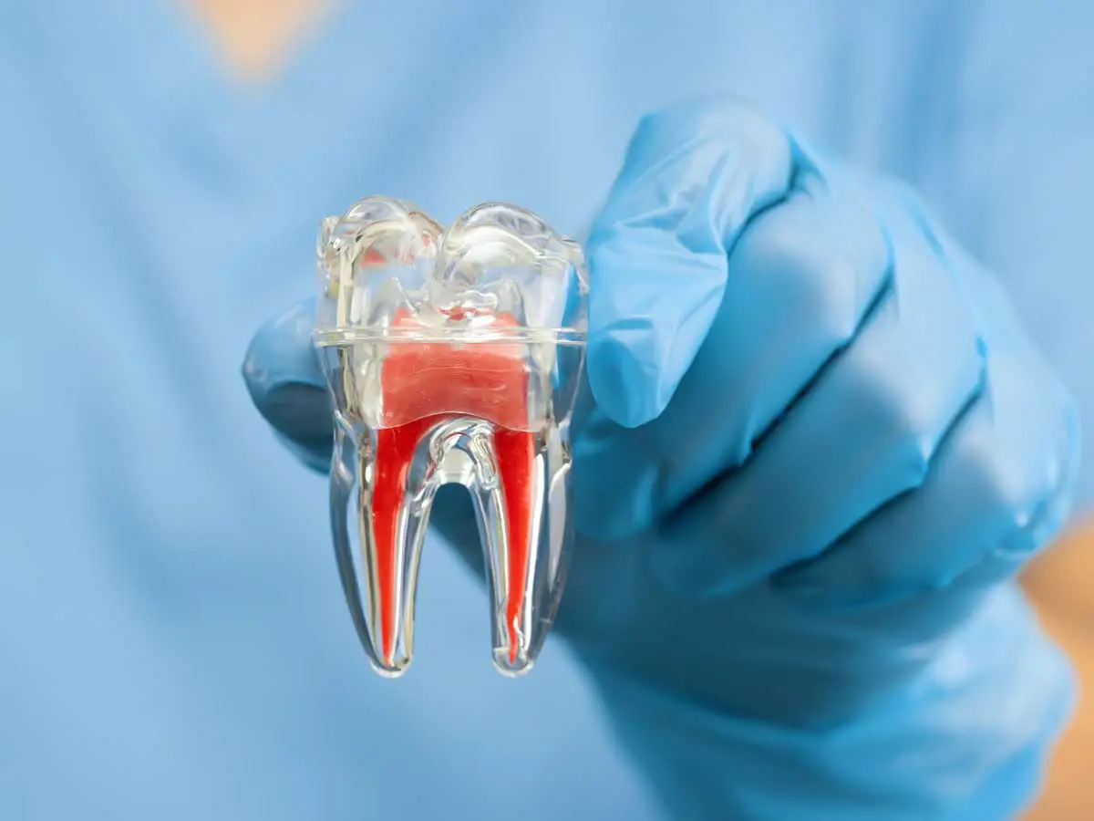 Endodonzia Como